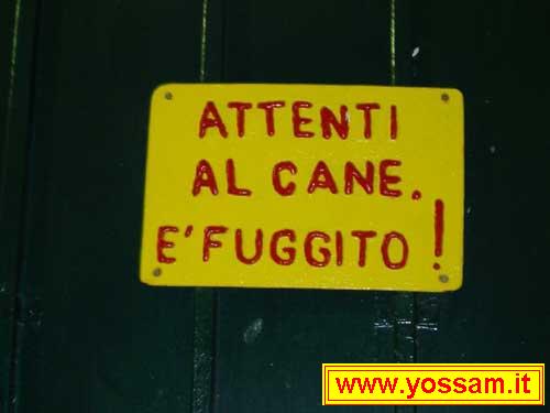 Attenti Cane