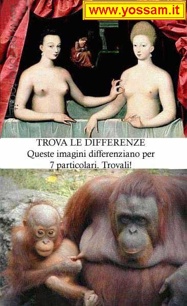 Differenze Rilevanti