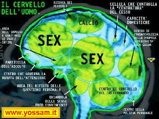 Sexy Cervello