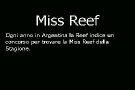 Miss Reef